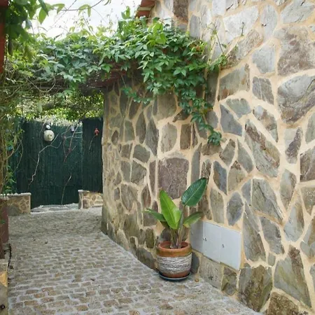 Casa Luz Monte Murtosa Portugal Apartamento Canto do Arego